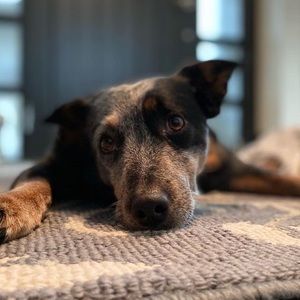 Meet your Posher, Teaghan